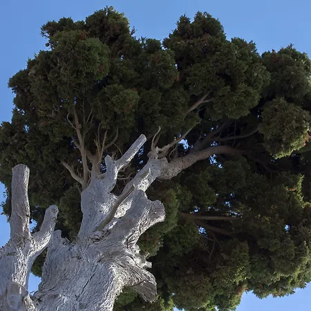 Legacy Διαμέρισμα